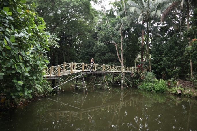 Hotel Sepilok Jungle Resort